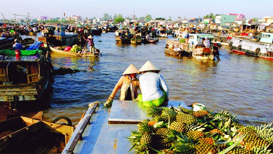 Ciudad de Can Tho fomenta la descontaminación fluvial y marítima