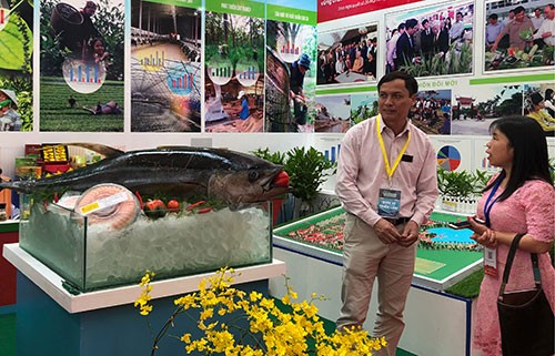 Vietnam fortalece aplicación de avances tecnológicos en la producción agrícola
