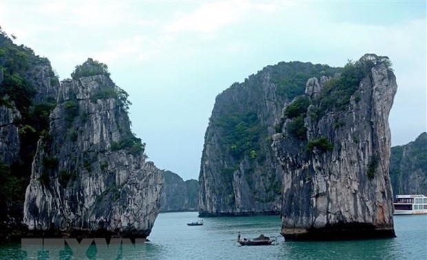 Quang Ninh recibe mayor afluencia de turistas gracias a políticas de estímulo turístico