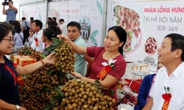 Hung Yen fortalece la promoción del consumo de productos agrícolas