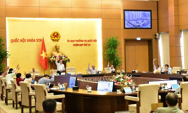 Asamblea Nacional de Vietnam considera importantes productos médicos y arroz para la Reserva Nacional