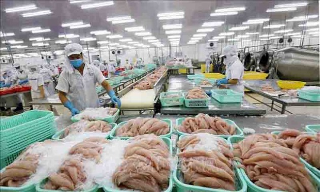 Productos pesqueros de Vietnam atraen a consumidores de importantes mercados del mundo