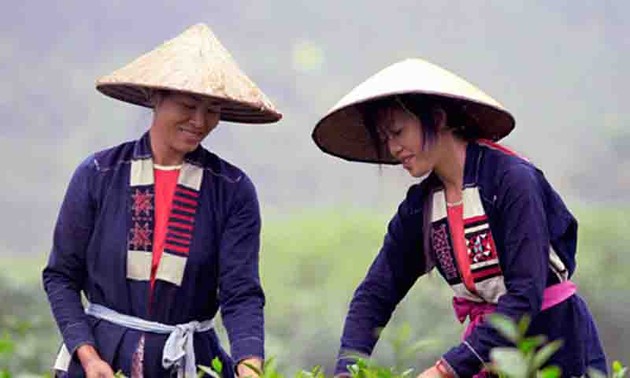 El grupo étnico Cao Lan preserva su traje tradicional 