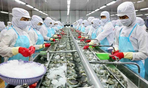Aumenta la exportación de productos pesqueros de Vietnam en los primeros cinco meses de 2022
