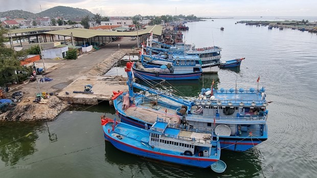 Ninh Thuan fortalece la lucha contra la pesca ilegal