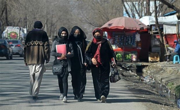 Autoridades talibanes exigen a las ONG que prohíban a las mujeres en los entornos laborales   
