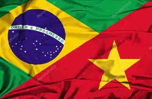 Vietnam y Brasil afianzan la cooperación multifacética
