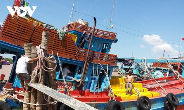 Vietnam se esfuerza por levantar tarjeta amarilla de la Unión Europea contra la pesca ilegal
