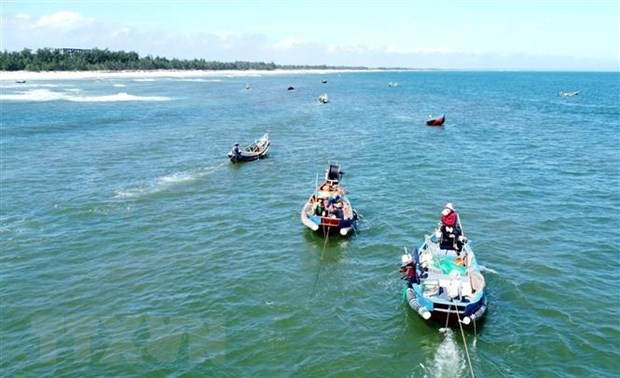 Quang Tri en su lucha contra la pesca ilegal, no declarada y no reglamentada