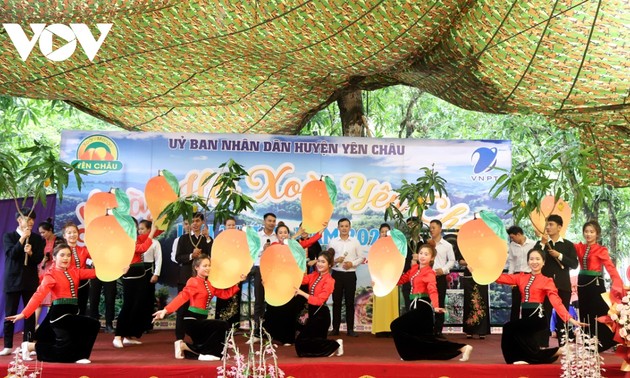 Vibrantes actividades en el V Festival del Mango de Yen Chau 2024