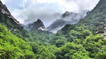 Corea del Norte y Corea del Sur realizan reunión conjunta en montaña de Geumgang