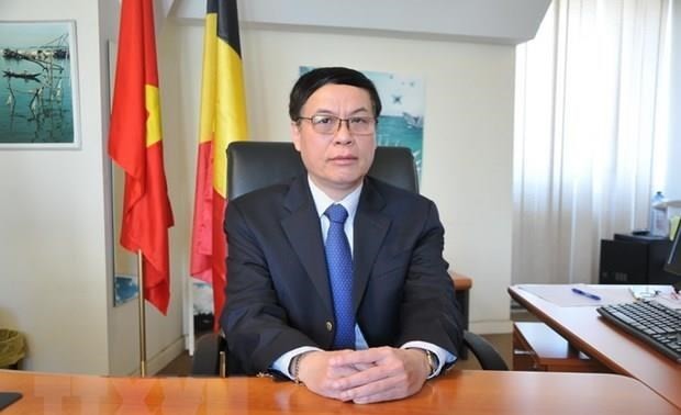 Embajador vietnamita en Bélgica resalta importancia de la colaboración entre parlamentos de su país y de Europa  