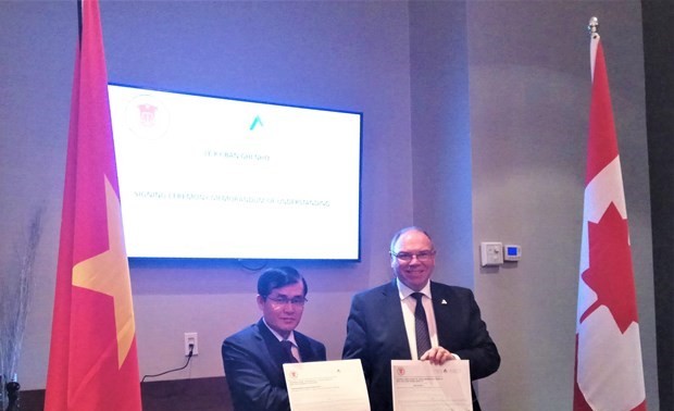  Vietnam y Canadá robustecen cooperación en auditoría