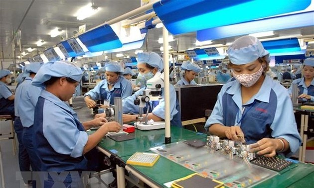  Empresas vietnamitas aprovechan oportunidades del tratado comercial con la Unión Europea