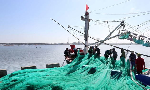 Esfuerzos de la industria pesquera de Vietnam por eliminar sanción europea