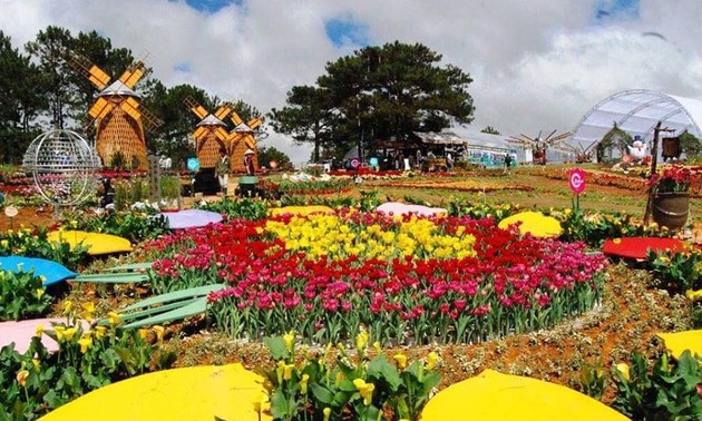 Festival de Flores Da Lat 2019 atrae turistas a Lam Dong