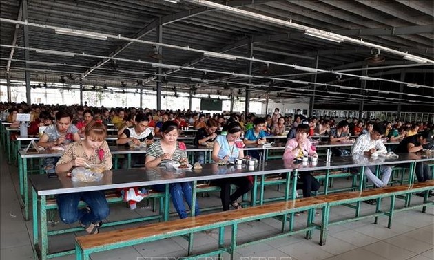 Piden controlar la expansión de Covid-19 entre trabajadores vietnamitas 