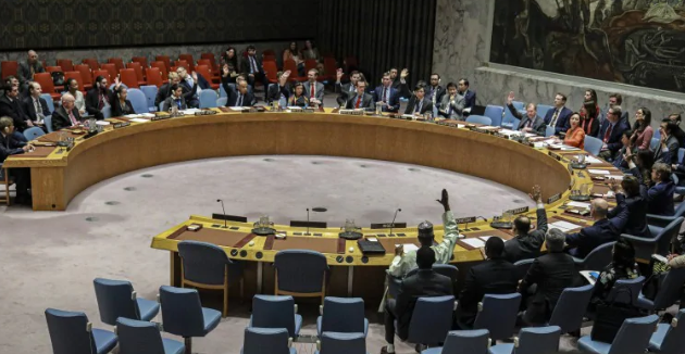 Consejo de Seguridad de la ONU realiza videoconferencia sobre situación en Yemen