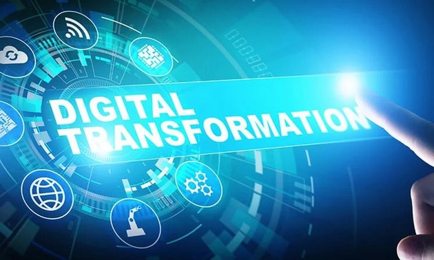 Transformación digital en comercio exterior: dirección inevitable hoy en día