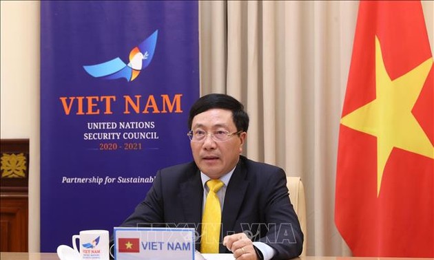 Vietnam asiste a reunión del Consejo de Seguridad de la ONU sobre el covid-19