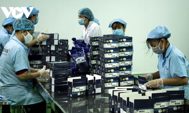 Empresas de Ciudad Ho Chi Minh impulsan las exportaciones en el tiempo pandémico gracias a productos renovados