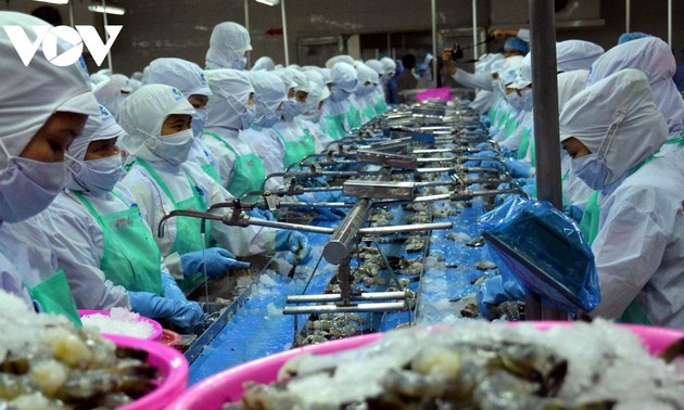 Alaban levantamiento de impuestos antidumping de Estados Unidos a camarón vietnamita