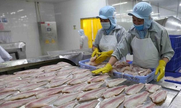 Predicen buenas perspectivas del sector acuícola de Vietnam en 2021