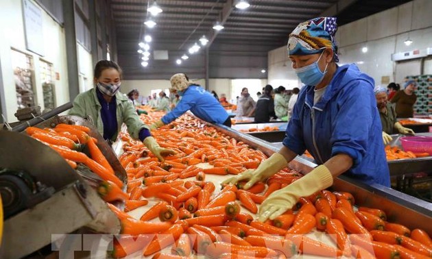 Vietnam sigue promoviendo venta de productos agrícolas en Australia
