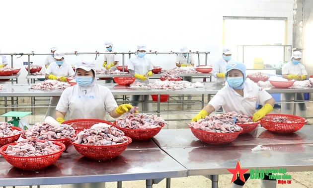 Ciudad Ho Chi Minh: casi 96% de las empresas reanudan sus operaciones en zonas industriales