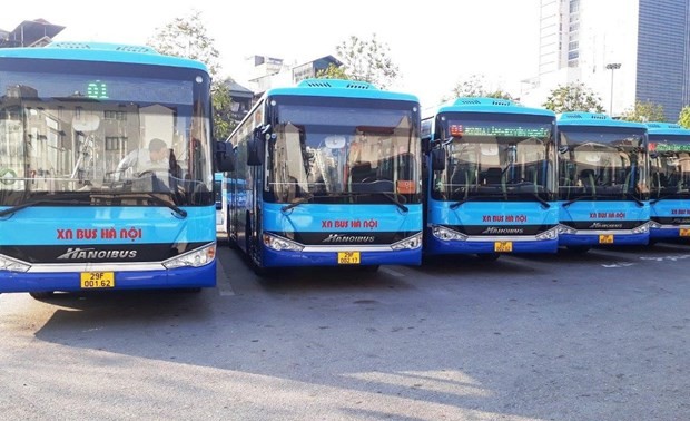 Mayoría de rutas subsidiarias de autobús de Hanói opera en su máxima capacidad desde este martes