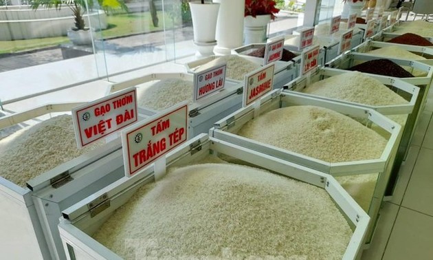 Siguen en aumento las exportaciones de arroz vietnamita