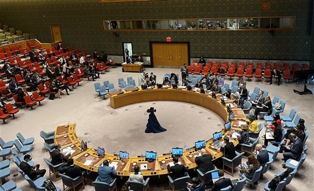 Ecuador, Japón, Malta, Mozambique y Suiza elegidos para el Consejo de Seguridad de la ONU
