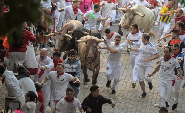 Tres personas murieron en festival de carreras con toros en España