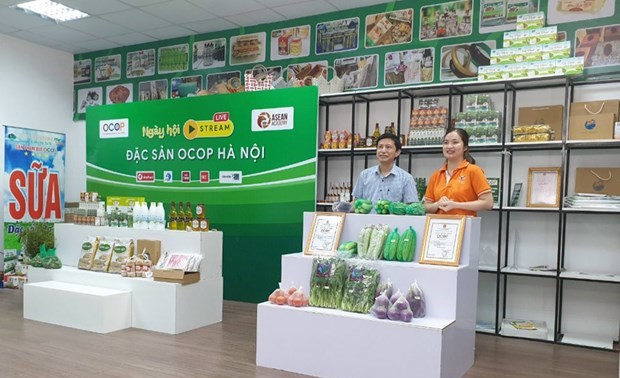 Hanói desarrollará centros de diseño creativo para productos de OCOP