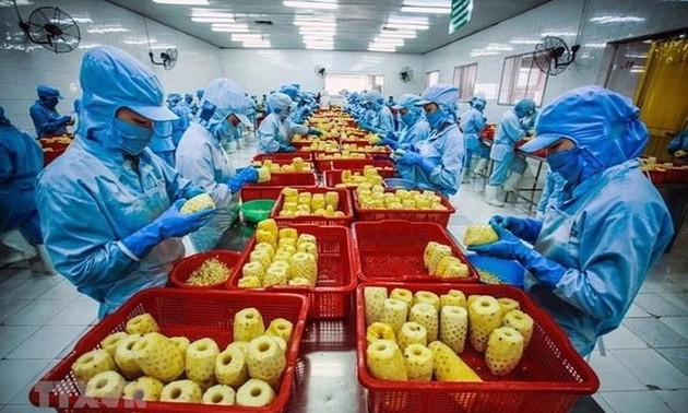 Fuerte aumento de las exportaciones vietnamitas a Estados Unidos en febrero de 2023