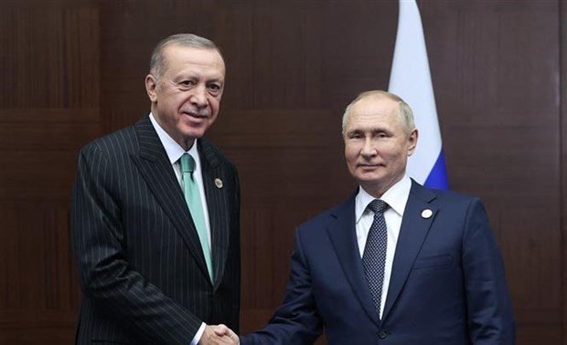 Líderes de Rusia y Turquía hablan por teléfono sobre asociación bilateral