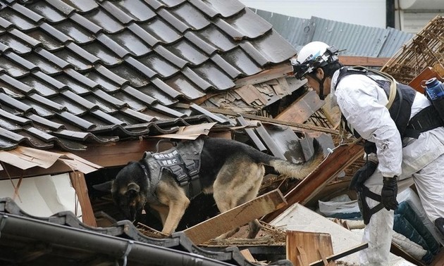 Terremoto en Japón: 84 personas murieron y 79 siguen desaparecidas