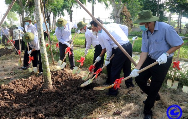 Localidades vietnamitas celebran Festival de Plantación de Árboles 