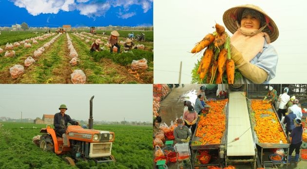 Vietnam y PNUD estimulan cooperación en economía circular en la agricultura