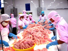 越南力争2012年出口茶鱼20亿美元