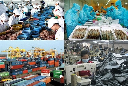 比利时经济专家：越南经济积极发展  投资环境极具吸引力