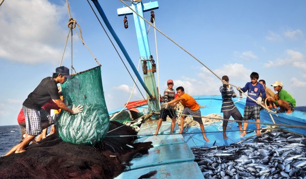 越南农业与农村发展部应对海产品异常死亡现象