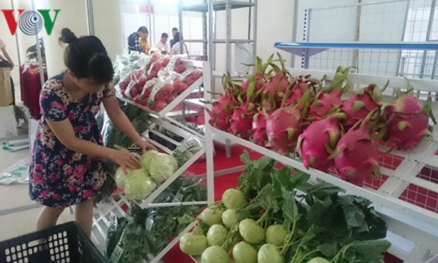 越南蔬果出口额约达10亿美元