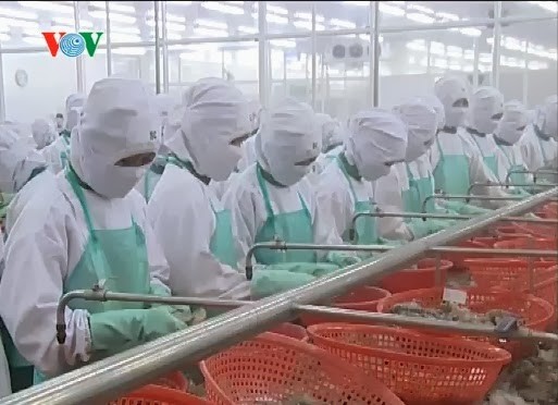 亚洲成为越南虾行业的销售市场