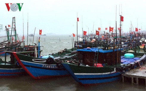 越南各地应对强热带风暴“杜苏芮”