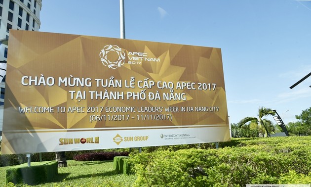 国际专家高度评价越南对2017年亚太经合组织系列会议的作用