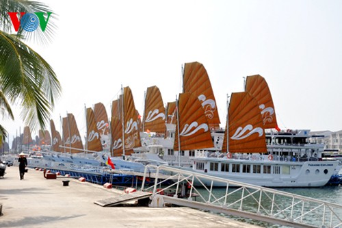 搭载六千两百多名游客的四艘国际游轮抵达越南下龙湾