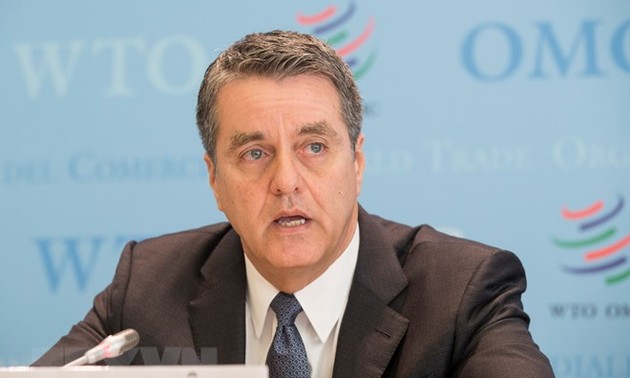 WTO警告美国与盟友贸易紧张升级