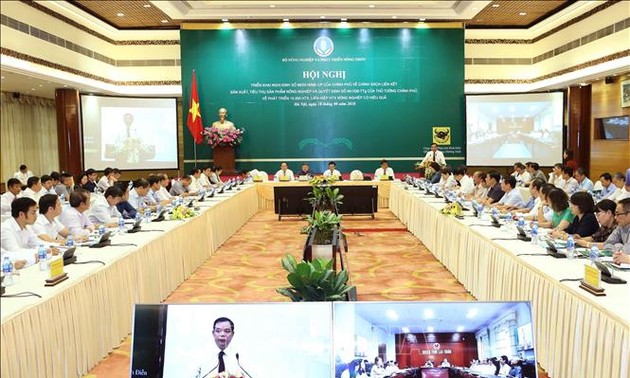 越南政府有关合作社发展政策的视频会议举行