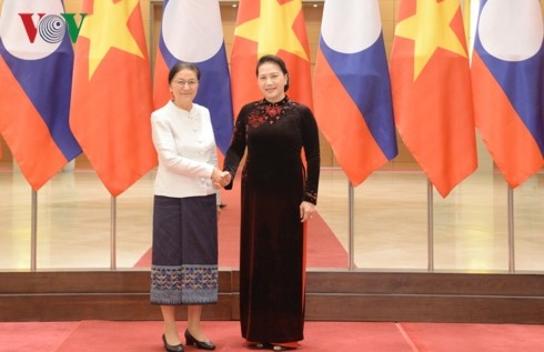阮氏金银与老挝国会主席巴妮举行会谈